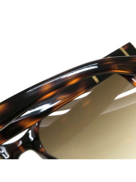 Gucci Sunglasses Eyewear Brown